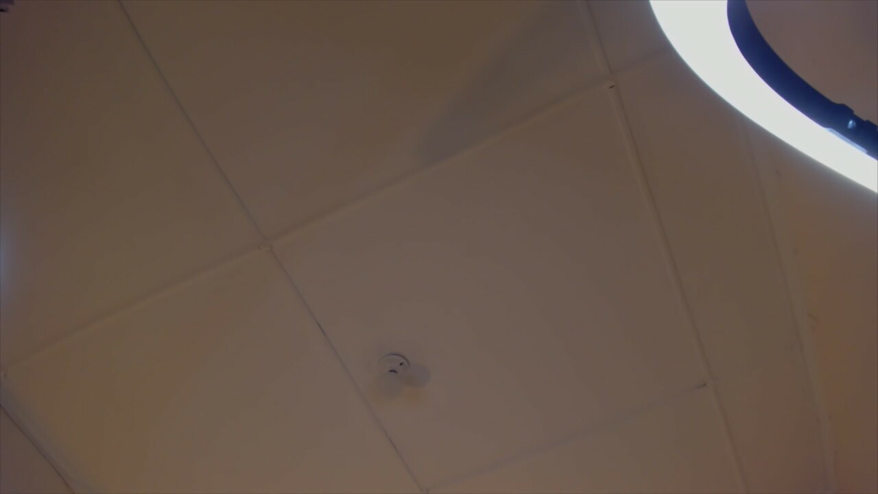 LilyVegaa