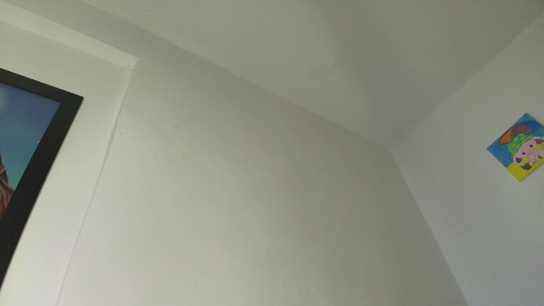 LuisaVenegas's Streamate show and profile