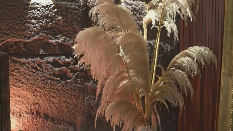 EmaMalkova's Streamate show and profile